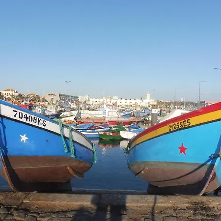 R. Do Castanhal فيلة *